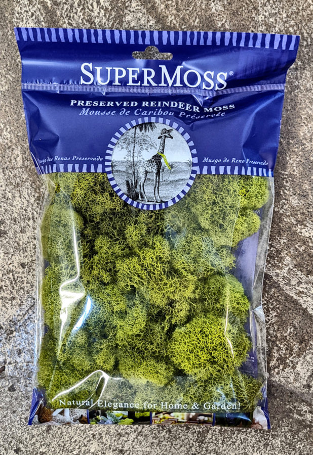 SuperMoss Reindeer Moss 4 oz / Chartreuse